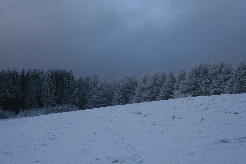 Bieszczady 12.2007 062